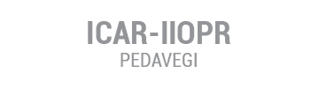 ICAR-IIOPR